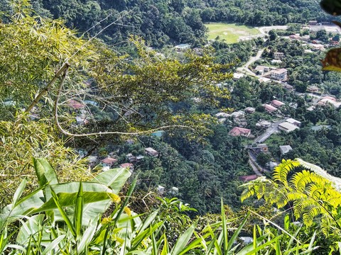 paysage de Dominique