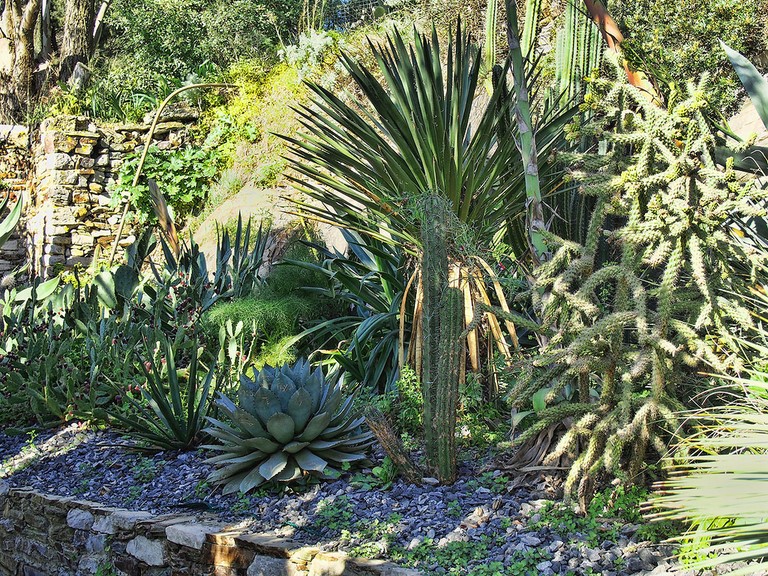 Jardin Sainte Claire Hyères