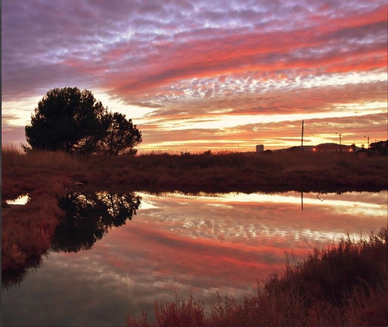 salins Hyeres