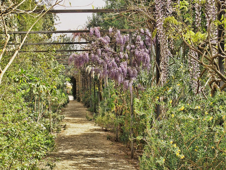 Jardin St Bernard Hyères