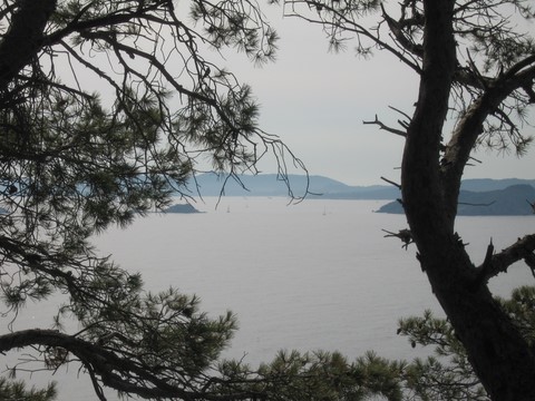 Ilot du grand Ribaud à Hyères