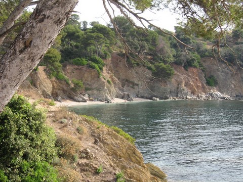 plage de la Darboussièe à Hyères