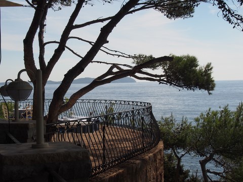 restaurant la Chanterelle Hyeres